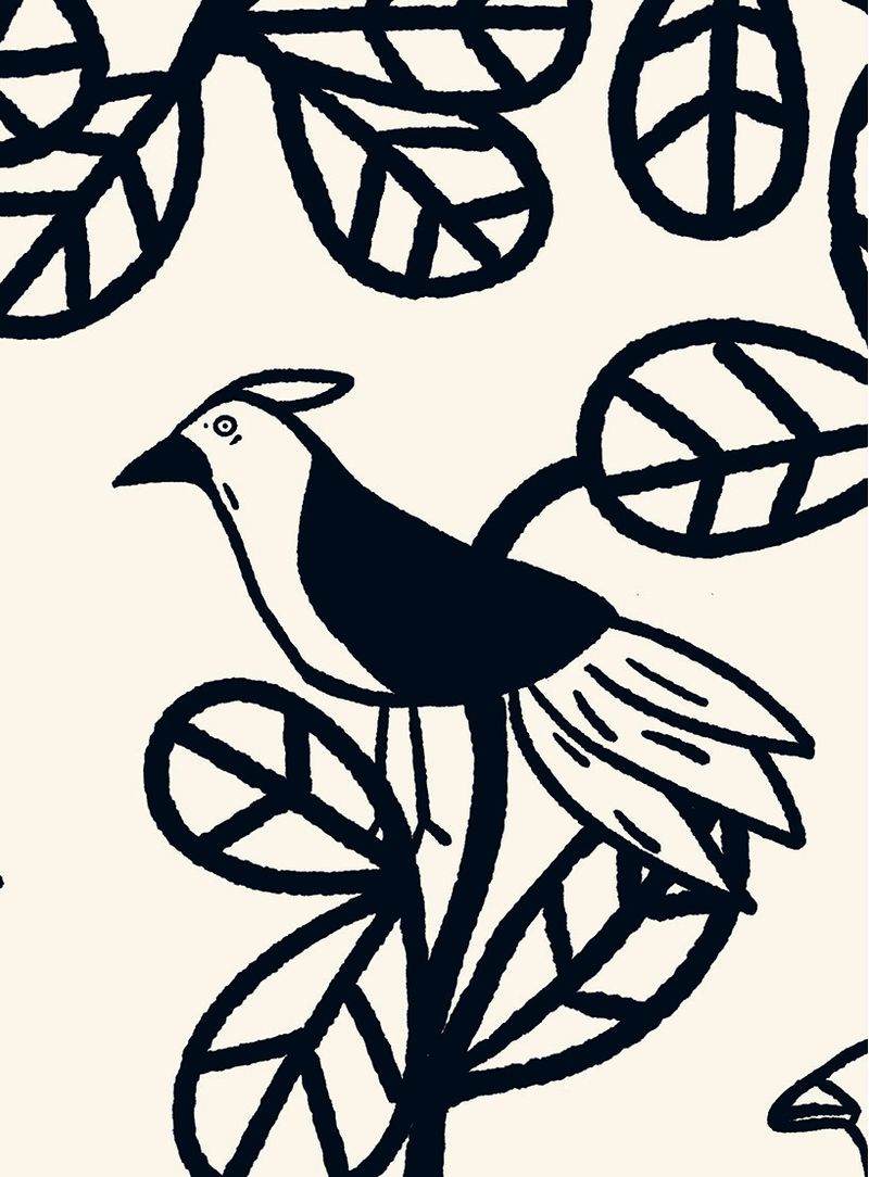 Papel-de-parede-arvore-sombreira-preto