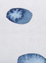 Papel-de-parede-dialogo-azul