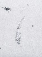 Papel-de-parede-constelacoes-prata