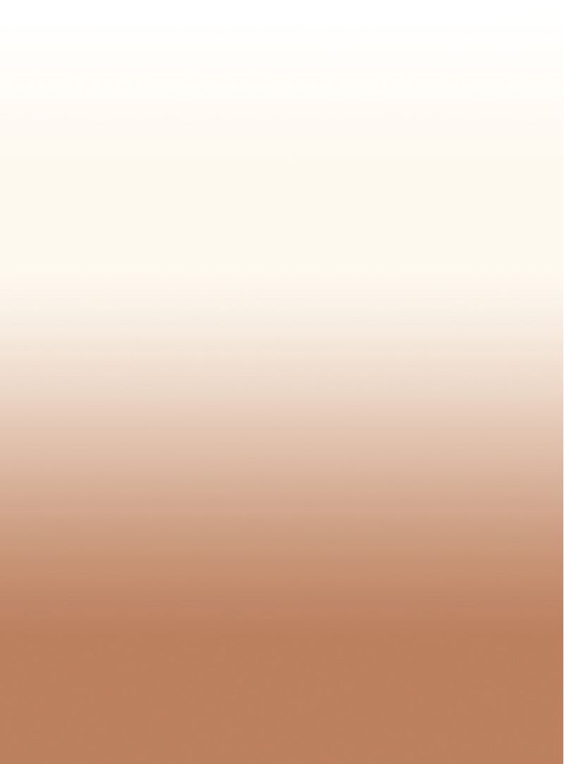 Papel-de-parede-degrade-marrom-112