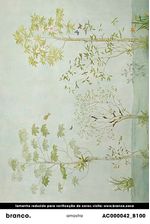 Painel-de-parede-chinoiserie-verde