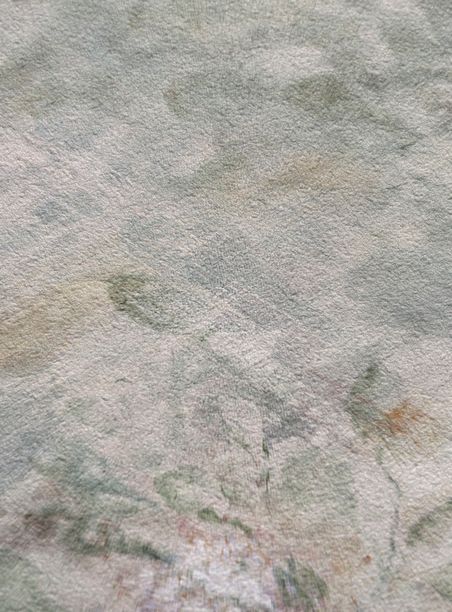 Papel de parede pantanal verde seco