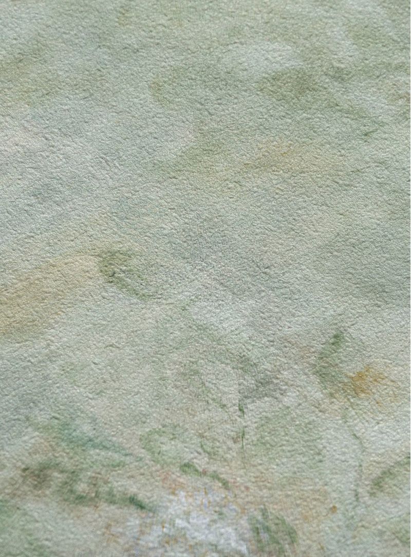 Papel-de-parede-pantanal-verde-intenso