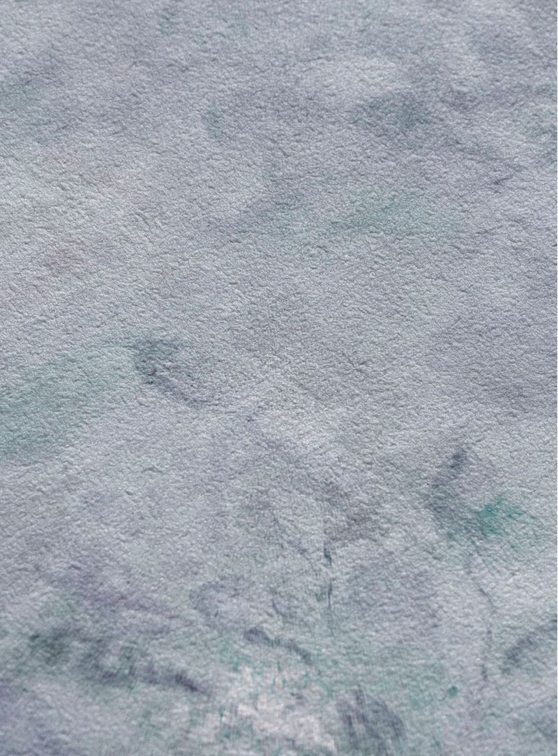 Papel-de-parede-pantanal-azul