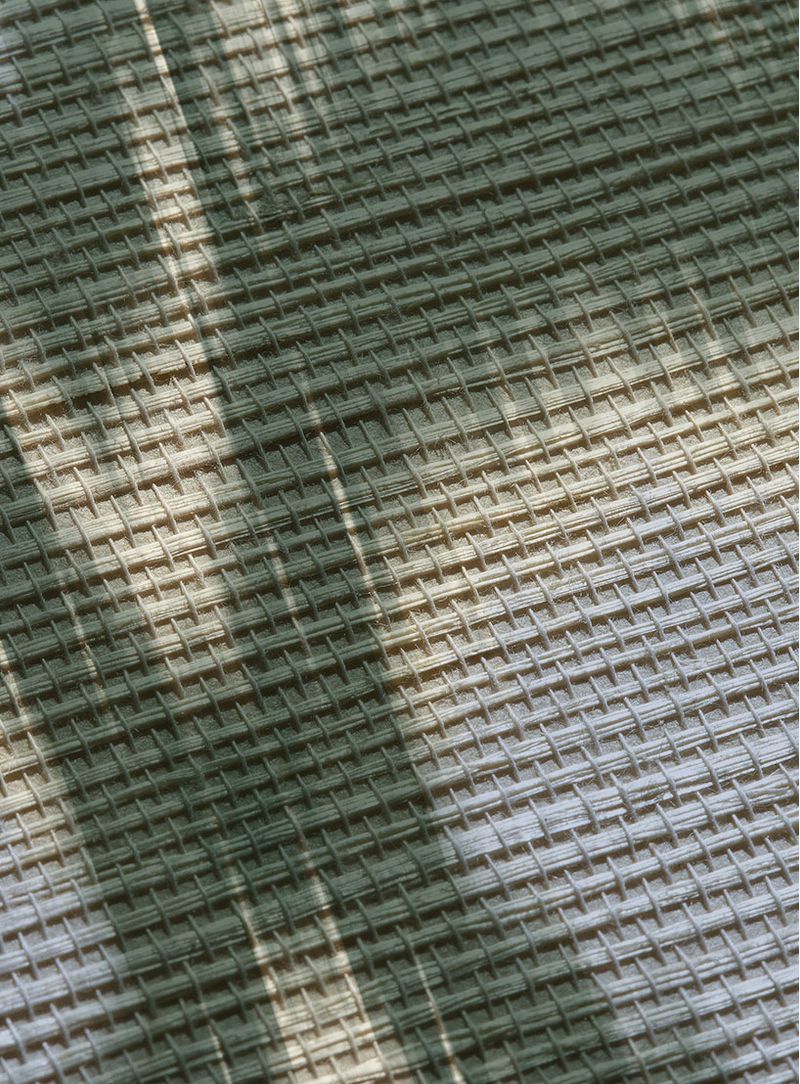 Papel-de-parede-penas-verde-e-azul
