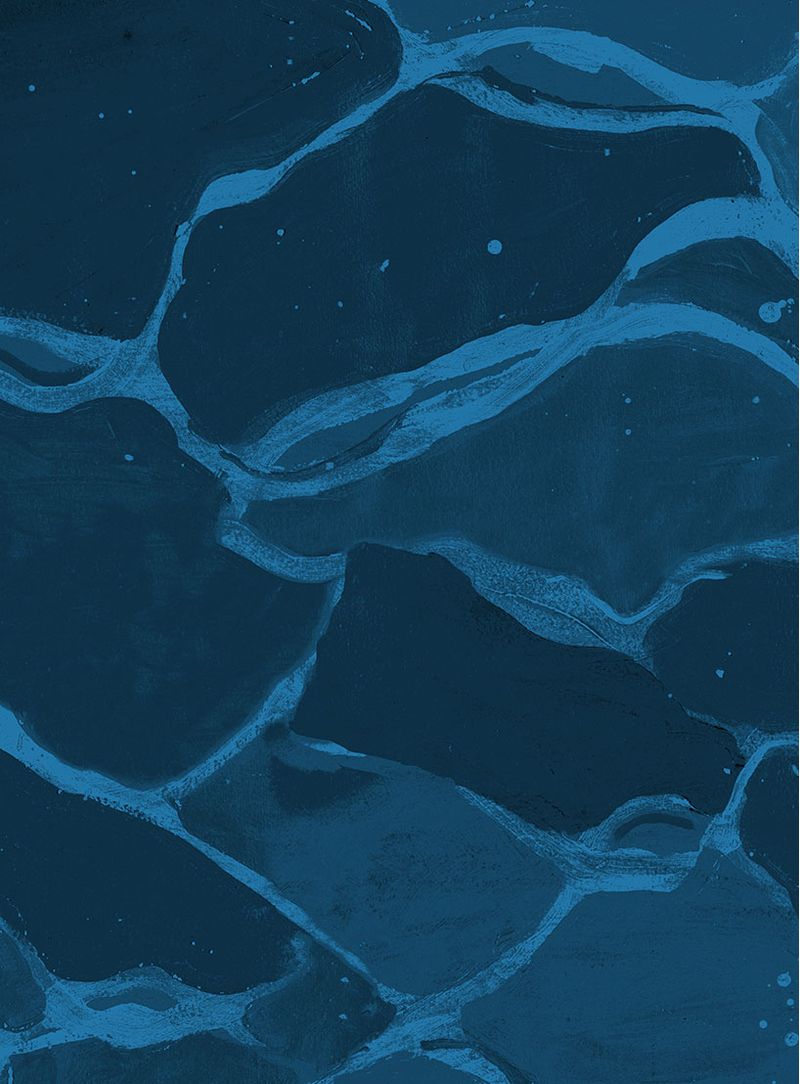 Papel-de-parede-lagoa-ii-azul-marinho
