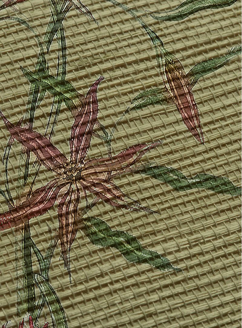 Papel-de-parede-jardim-botanico-fundo-grama