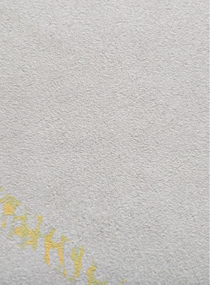 Papel-de-parede-passeio-na-parnaiba-fundo-bege