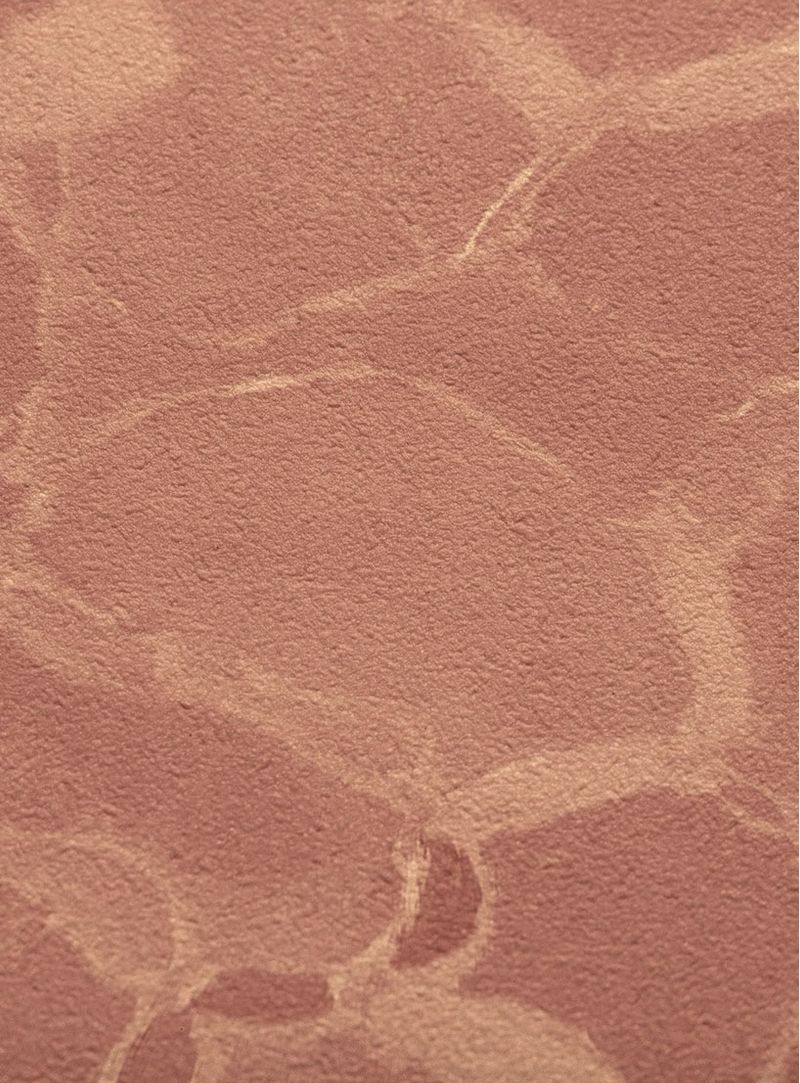 Papel-de-parede-lagoa-i-telha