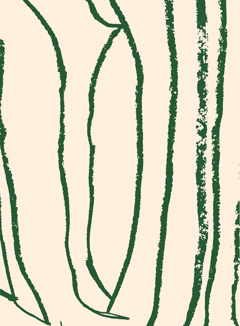 Papel-de-parede-giz-bege-com-verde