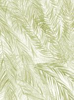 Papel-de-parede-palha-verde
