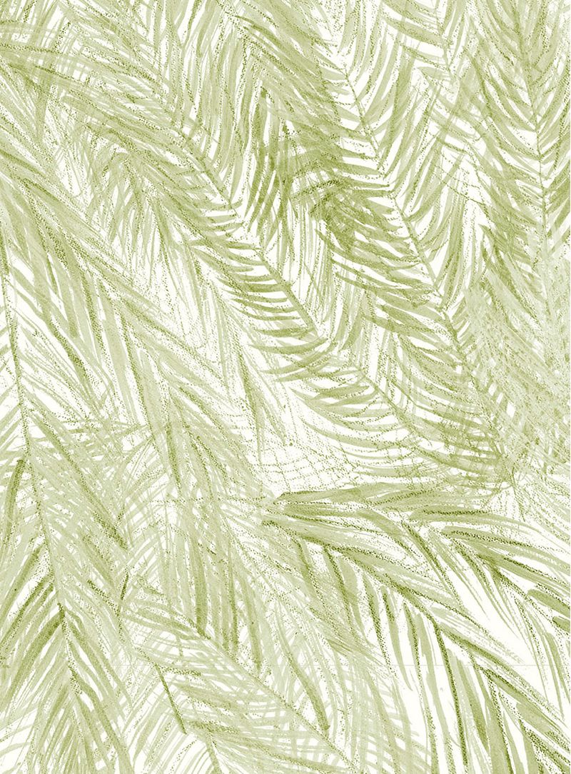 Papel-de-parede-palha-verde
