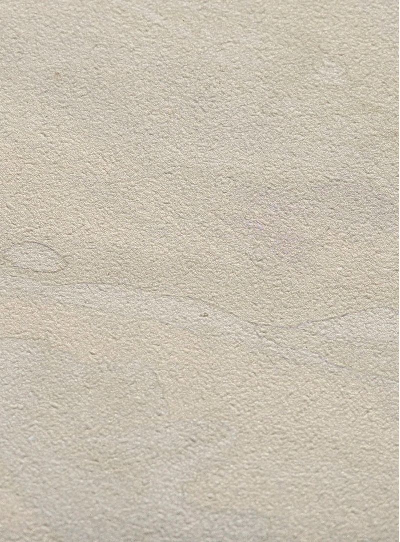 Papel-de-parede-miragens-bege