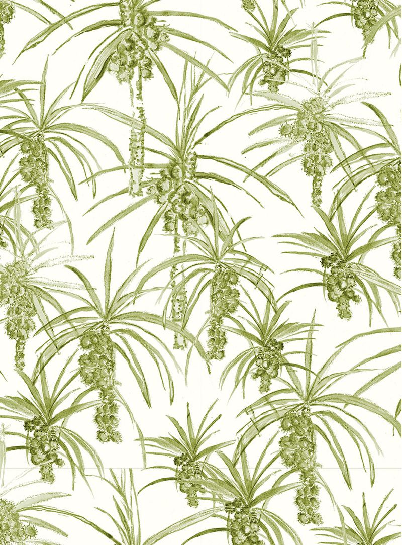 Papel-de-parede-coqueiro-verde