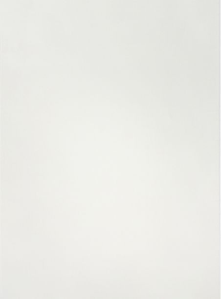 Tecido Liso Bianca Off White