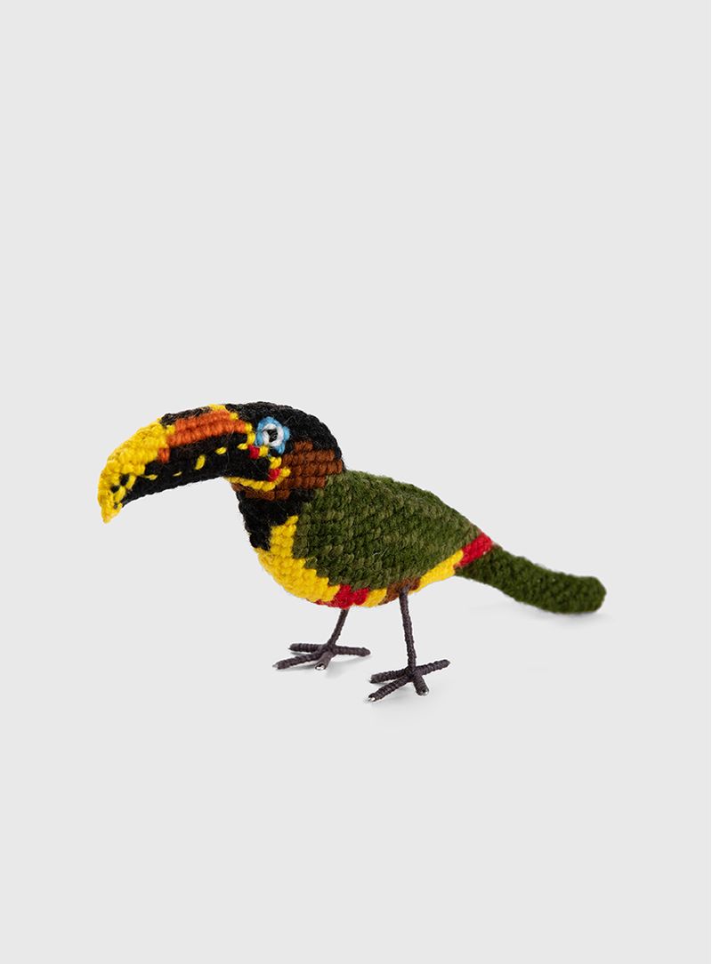 Pássaro Tucano Araçari castanho