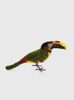 Passaro-Tucano-Aracari-castanho