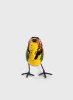 Passaro-Tucano-Aracari-castanho