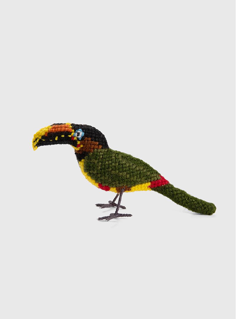 Pássaro Tucano Araçari castanho