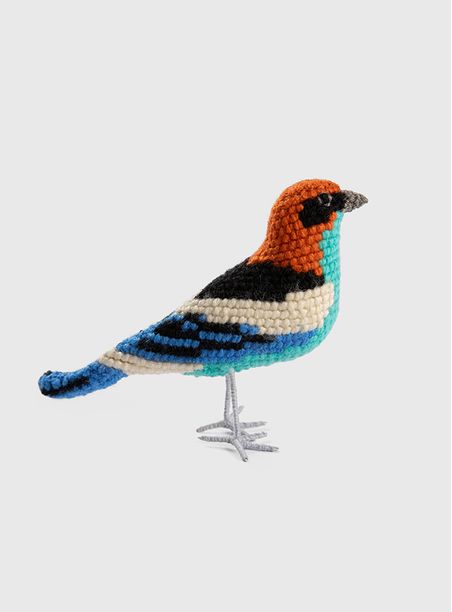 Pássaro Saíra Sapucaia