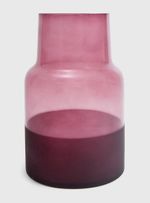 Vaso-gelo-vinho-vidro