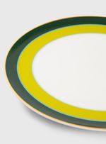 Prato-Raso-convexa-Listras-Verde-Denso