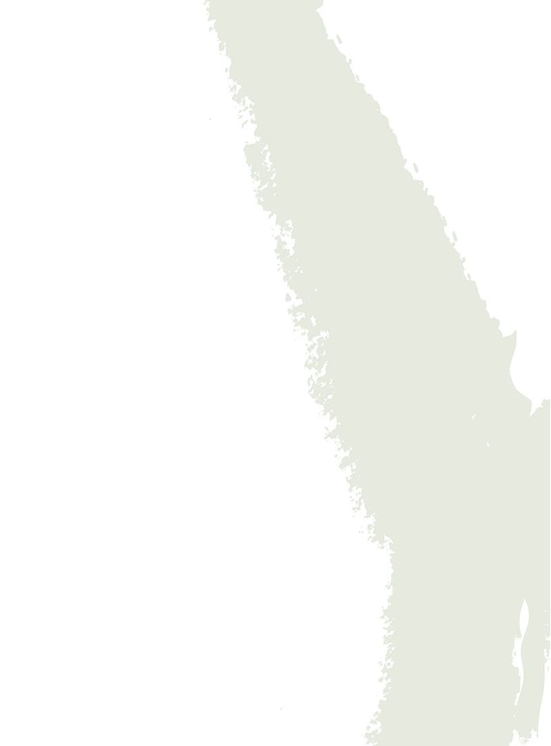 painel-de-parede-passaros-ii-verdes-claros