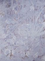 Tecido-Estampado-Infinitudes-Lilas