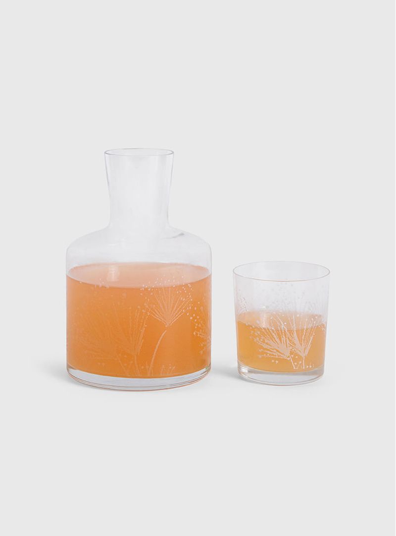 Moringa-cristal-dente-de-leao