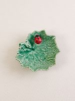 Folha-Cineraria-com-Joaninha