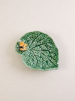 Folha-Begonia-com-Borboleta