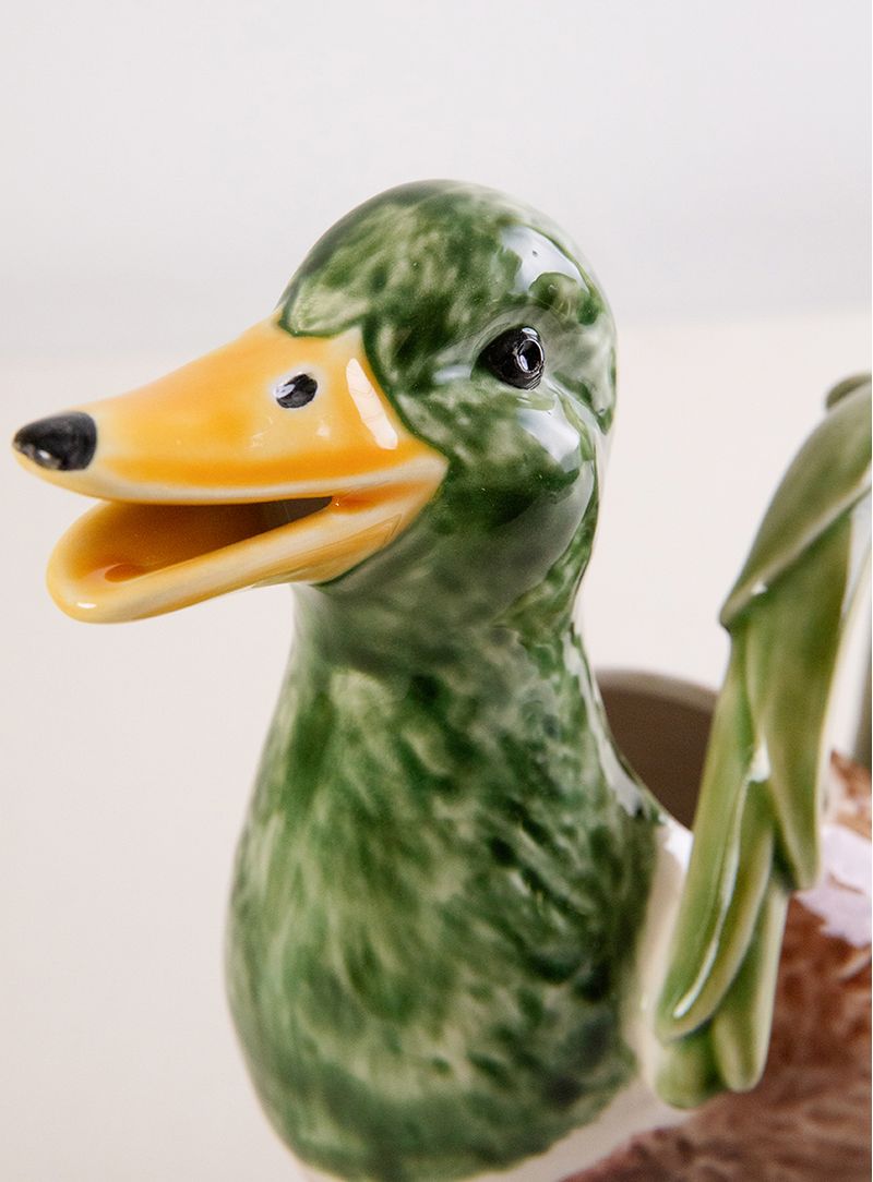 Jarro-Pato
