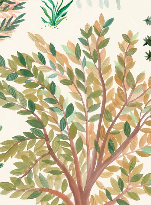 Papel de Parede Árvores No Entardecer