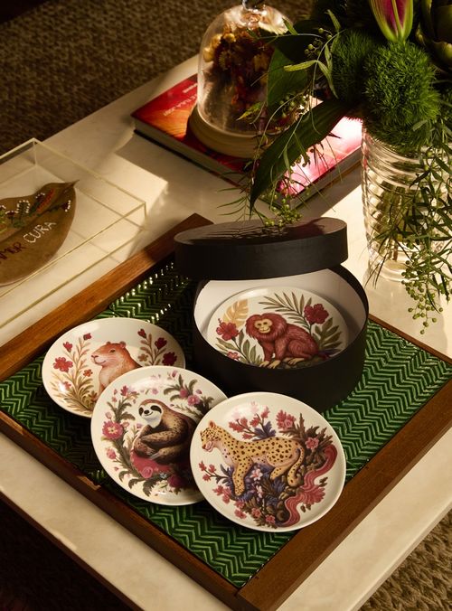 Set 4 Pratos Decorativos Festa dos Bichos