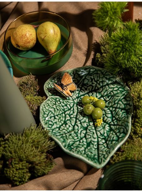 Folha Begônia com Borboleta