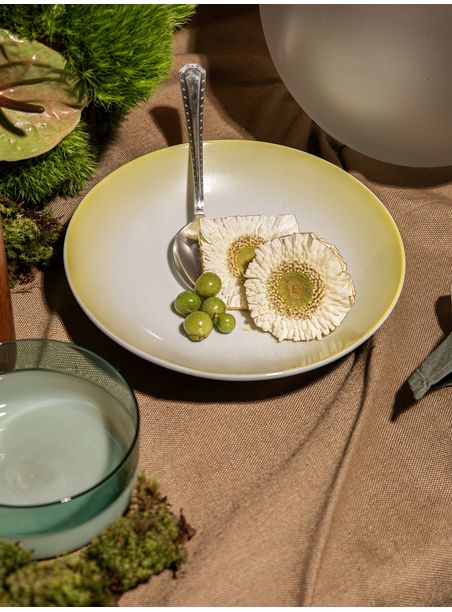 Prato Fundo convexa degradê Verde Denso